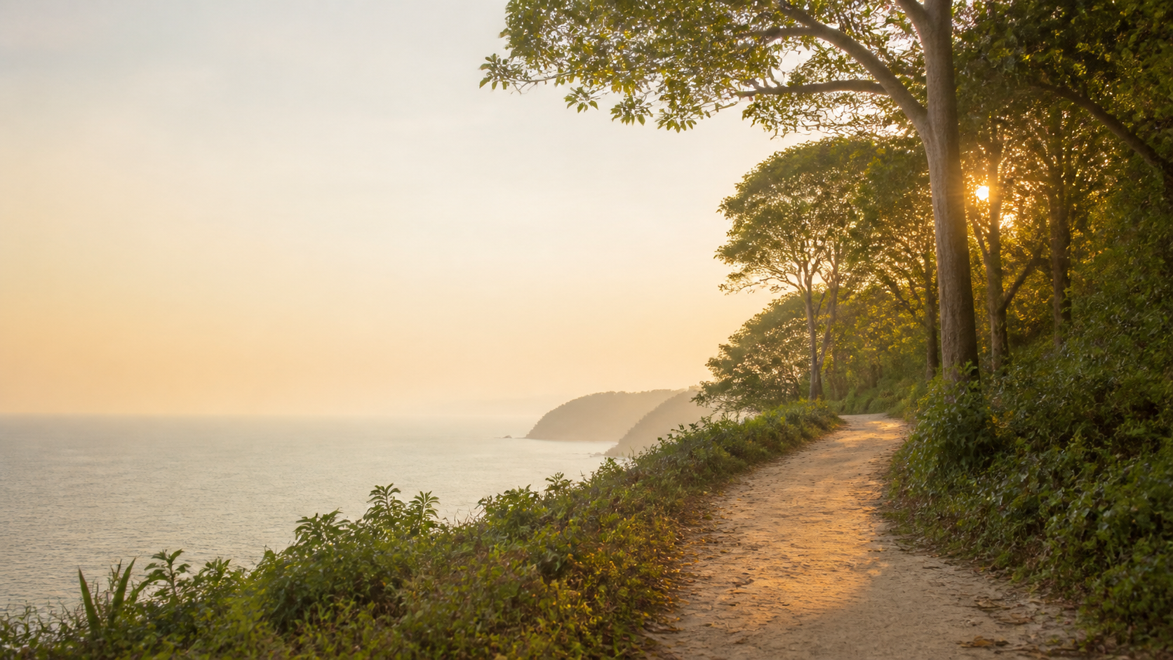 Trilha em meio à natureza litorânea ao amanhecer
